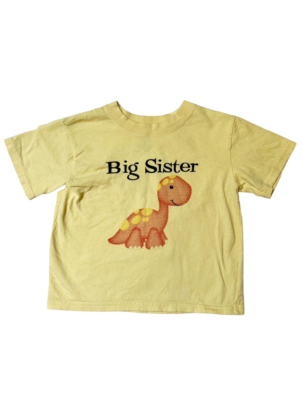 Big Sister Dinosaur Shirt Size 4T